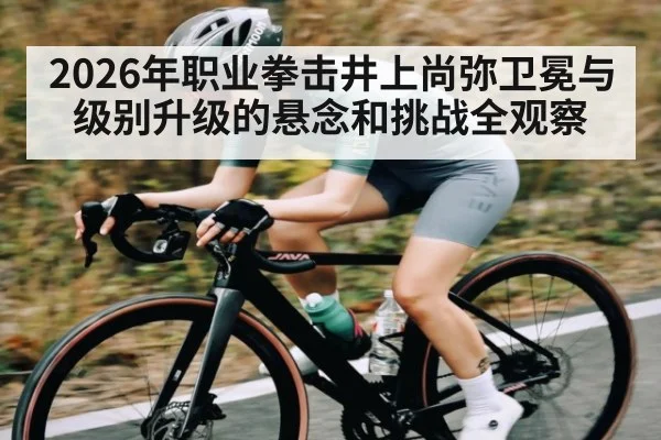 2026年职业拳击井上尚弥卫冕与级别升级的悬念和挑战全观察